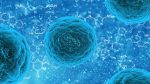 entdecken sie die neuesten trends und innovationen im gesundheitswesen. erfahren sie mehr über medizinische versorgung, prävention und technologien, die die lebensqualität verbessern.