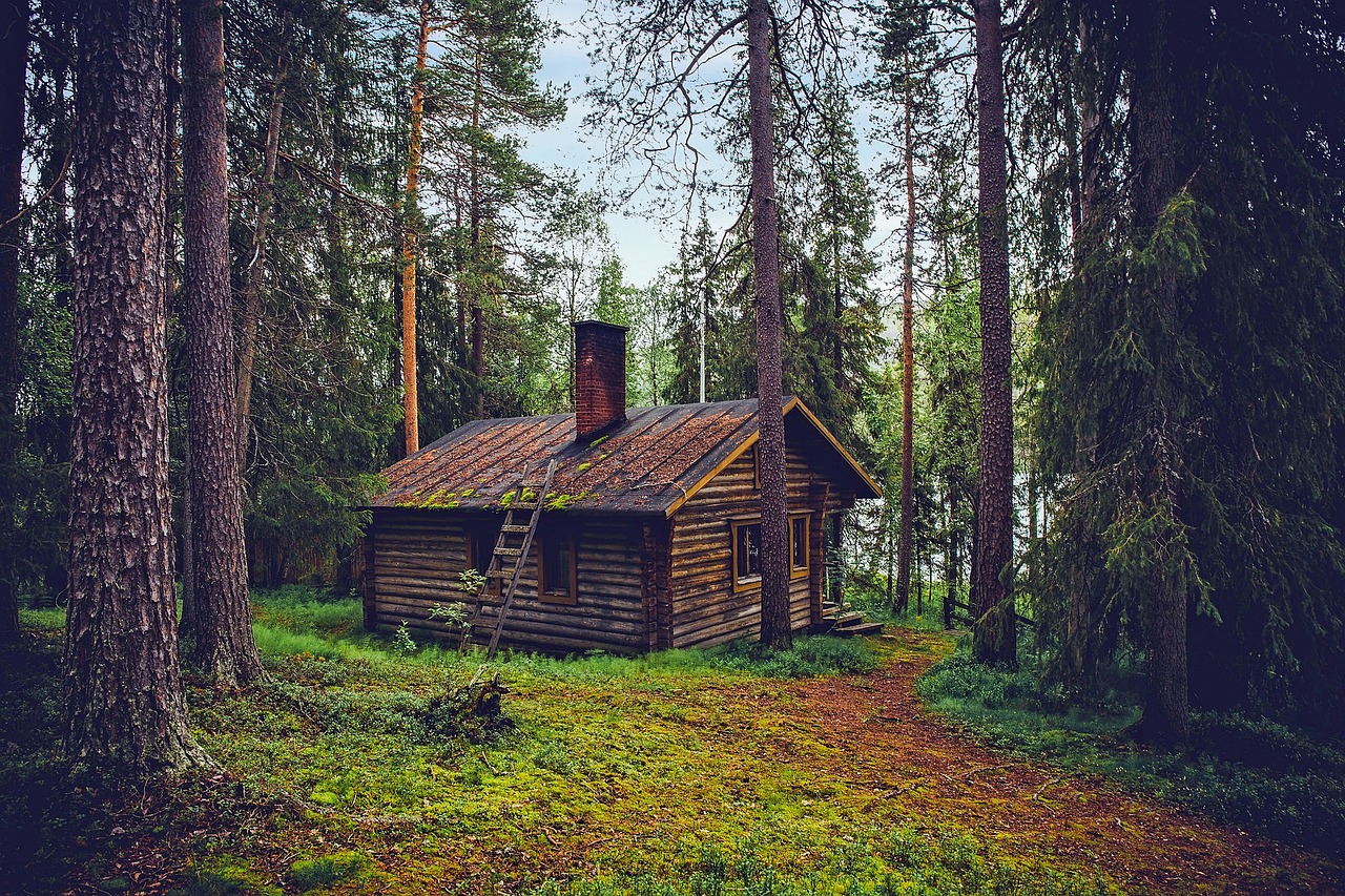 entdecken sie die neuesten wohntrends für ihr zuhause! lassen sie sich von frischen ideen und inspirierenden designkonzepten leiten, um eine einladende und stilvolle atmosphäre zu schaffen.